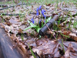 IMG_7778.JPG