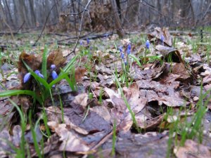 IMG_7780.JPG