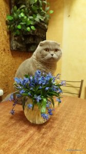 20160327_233018.jpg