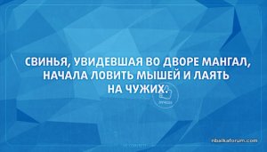 E5-PCziwoKU.jpg