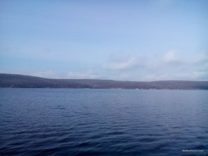 DSC_0317[1].jpg