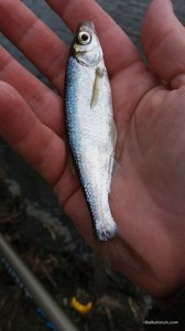 20160401_143335.jpg