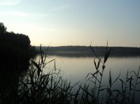 DSC01853.jpg
