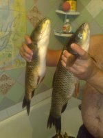 160720111518.jpg