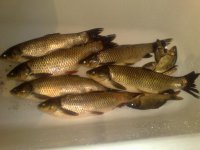 230720111519.jpg