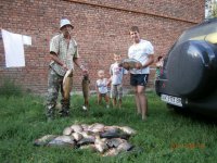 Изображение мои фото 159.jpg