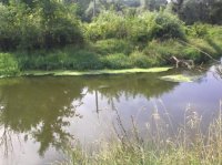 20082011506.jpg