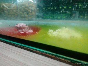 IMG_20160401_172329.jpg