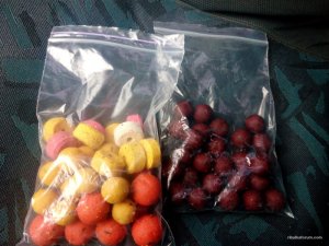 IMG_20160401_174952.jpg