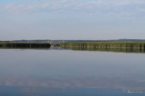 IMG_1705.JPG