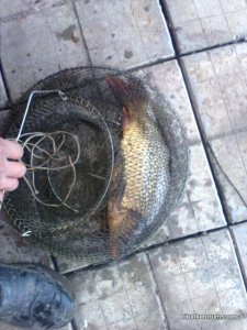 tmp-cam--1771961105.jpg