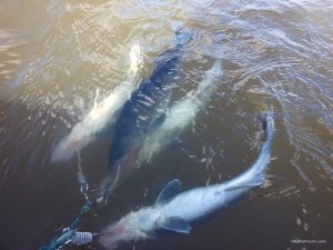 IMG_20160403_141033.jpg