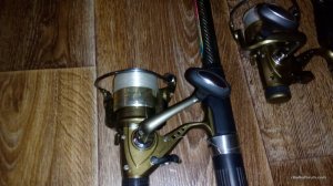 IMG_20160403_192933.jpg