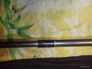 IMG_20160403_214245.jpg