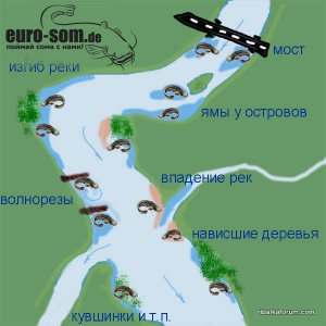 Обитание сома.jpg