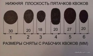 Пятки квоков.jpg