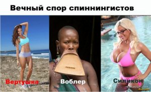 На судака.jpg