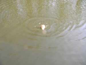 14.JPG