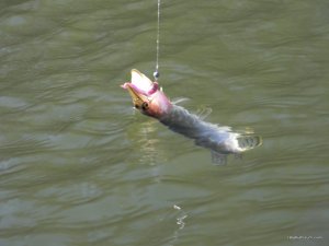 17.JPG