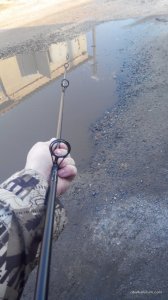 20160403180644.jpg