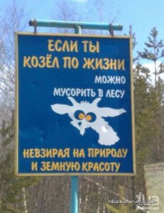 image-11.jpg