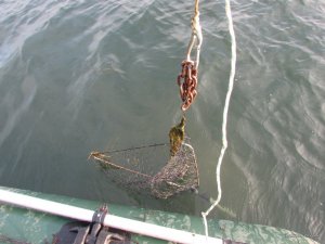 IMG_2225.JPG