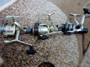 IMG_20160405_111638.jpg