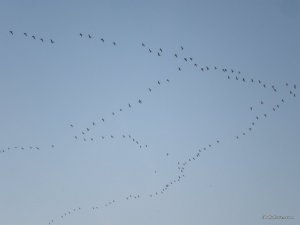 P4050147.JPG