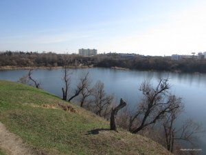 IMG_2239.JPG