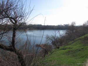 IMG_2242.JPG