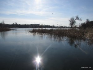 IMG_2247.JPG