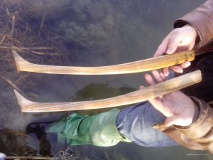 IMG_20160405_174259.jpg