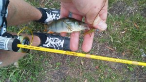 20150621_133237.jpg