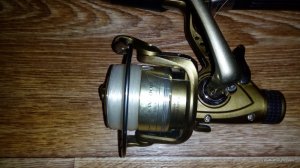 IMG_20160403_192924.jpg