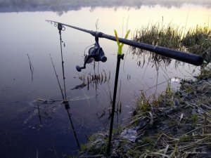 IMG_20160406_055351.jpg