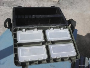 IMG_20160407_095141.jpg