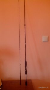 IMG_20160401_094823.jpg