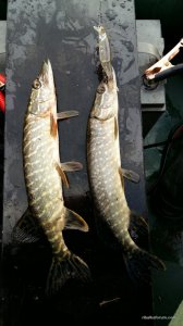 20160408_072758.jpg