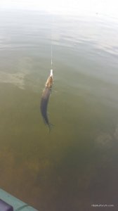 20160408_092040.jpg