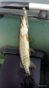 20160408_092118.jpg