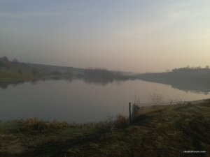 2016-04-09 06.51.45.jpg