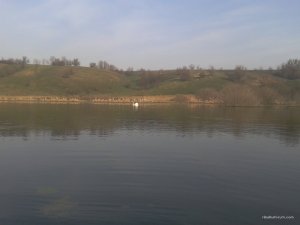 2016-04-09 07.59.49.jpg