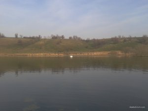 2016-04-09 07.59.57.jpg