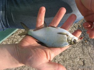 IMG_0406.JPG