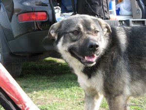 IMG_0425.JPG