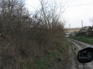 IMG_0464.JPG