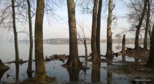 WP_20160409_005.jpg
