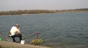 WP_20160409_022.jpg