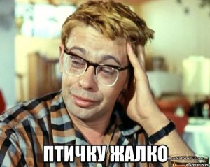 14301616944215.jpg