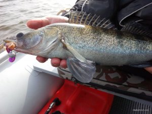 IMG_20160409_091744.jpg